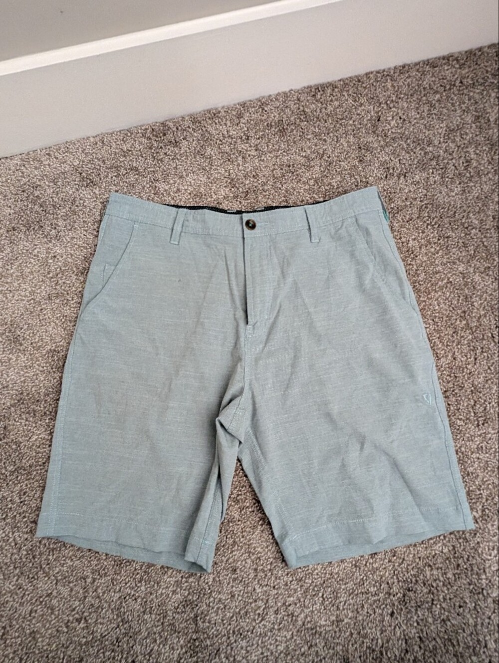 Light Sage Green Casual Shorts